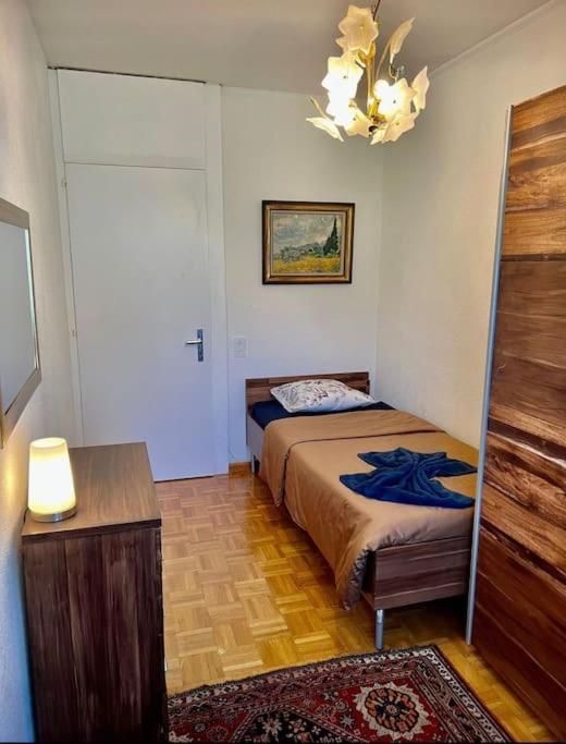Appartement 7,0 Pieces 3 Chambres Proximite Aeroport Geneva Exterior foto